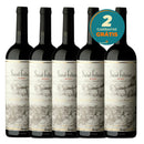 Kit Leve 5 Pague 3 Saint Felicien Malbec 2023